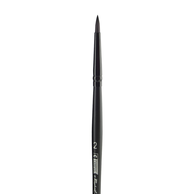 Set of 3 Raphaël Brushes for Acrylic and Watercolor